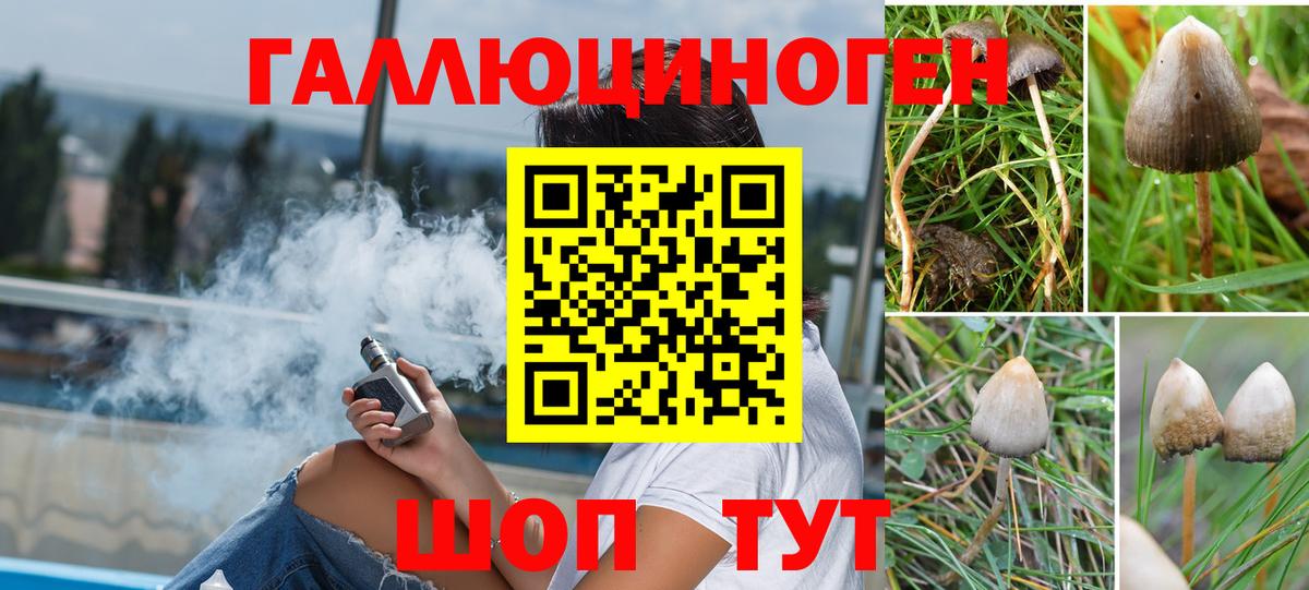 Коркино  Псилоцибиновые грибы мухоморы  Галлюциногенные грибы прущие грибы  Вход с VPN 